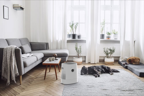 Boneco H320 Hybrid Luftreiniger Luftbefeuchter