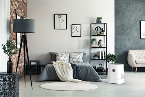 Boneco H320 Hybrid Luftreiniger Luftbefeuchter