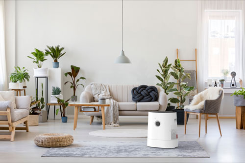 Boneco H320 Hybrid Luftreiniger Luftbefeuchter