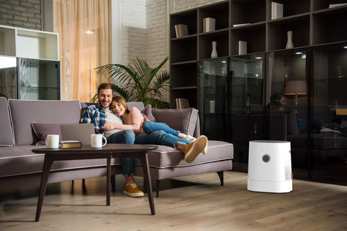 Boneco H320 Hybrid Luftreiniger Luftbefeuchter